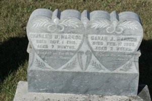 Sarah A. Harrod