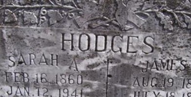 Sarah A. Hodges Sarah A. Hodges
