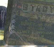 Sarah A. Johnson Stacy