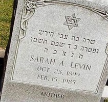 Sarah A. Levin Sarah A. Levin