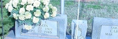 Sarah A. Moore Carson Sarah A. Moore Carson