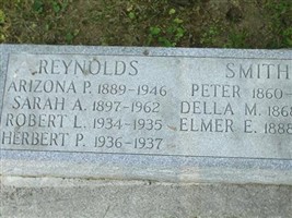 Sarah A Reynolds