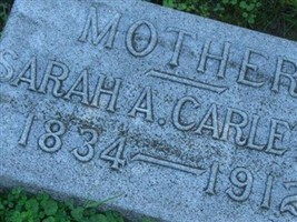 Sarah A Stoddard Carleton Sarah A Stoddard Carleton