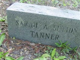 Sarah A Sutton Tanner Sarah A Sutton Tanner