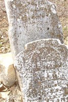 Sarah A. Walling Sarah A. Walling