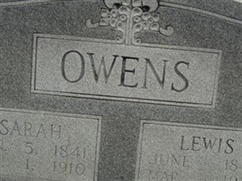 Sarah A. Whitlow Owens Sarah A. Whitlow Owens
