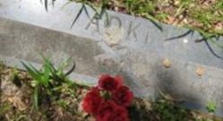 Sarah Adkins