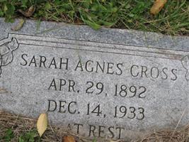 Sarah Agnes Gross