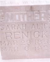 Sarah Alice Bean Bruster Renick