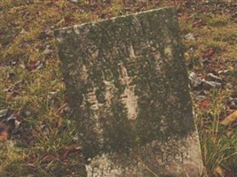 Sarah Amanda Maples Gaines