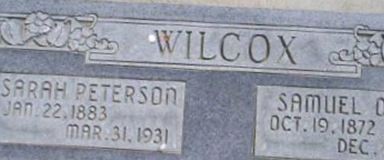 Sarah Amelia Peterson Wilcox