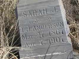 Sarah Anderson