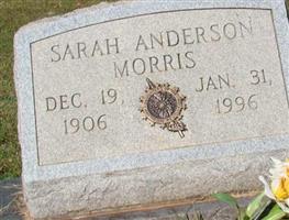 Sarah Anderson Morris
