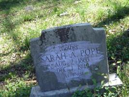 Sarah Angeline Maxwell Pope