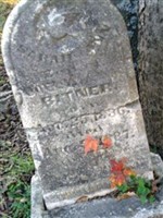 Sarah Ann Bitner Sarah Ann Bitner