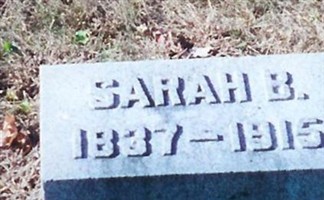 Sarah Ann Brugler Hartung Sarah Ann Brugler Hartung