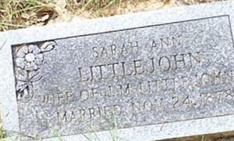 Sarah Ann Bullard Littlejohn