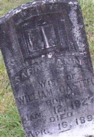Sarah Ann Casteel