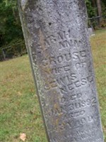 Sarah Ann Crouse Neese