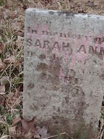 Sarah Ann Curl