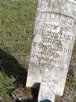 Sarah Ann Cyrus Mulkey