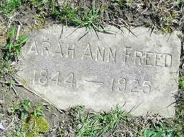 Sarah Ann Freed