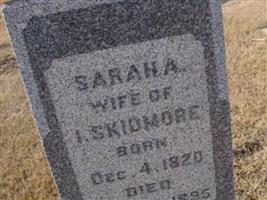 Sarah Ann Haines Skidmore