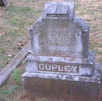 Sarah Ann Harnden Copley
