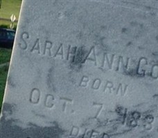 Sarah Ann Harris Goode