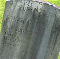 Sarah Ann Knauer
