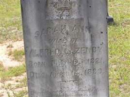 Sarah Ann Lazenby