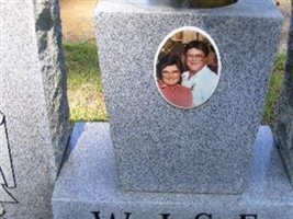 Sarah Ann Meredith Wise