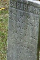 Sarah Ann Pontius