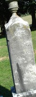Sarah Ann Strother Reed