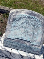 Sarah Ann Walling Terry