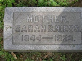 Sarah B Niess