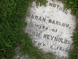 Sarah Barlow Reynolds
