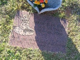 Sarah Beth Early