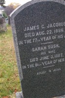 Sarah Bush Jacobus