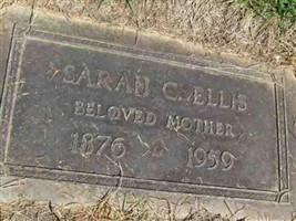 Sarah C Ellis