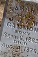 Sarah C. Gammon Sarah C. Gammon