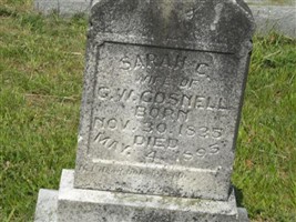 Sarah C Gosnell