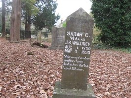 Sarah C Waldrep Sarah C Waldrep
