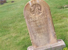 Sarah Carrie Hardy