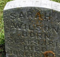 Sarah Chandler Wilson Sarah Chandler Wilson