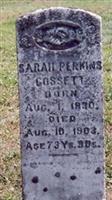 Sarah Collins/Perkins Gossett (1910971.jpg)