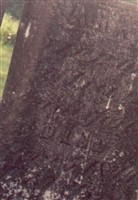 Sarah Comer Vanderford