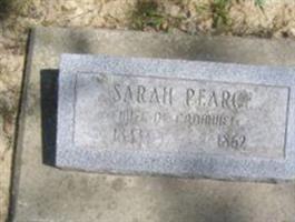 Sarah Craig Pearce