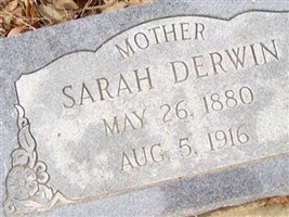 Sarah Derwin Sarah Derwin