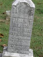Sarah E Allen